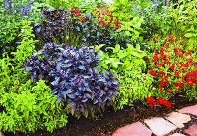 Ultimate Vegetable Garden Planning Guide: Tips and Tricks for a Thriving Outdoor Space