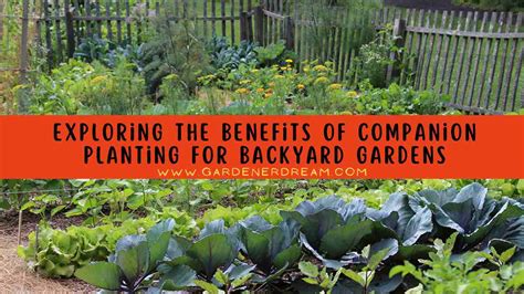 Top Companion Planting Tips: A Comprehensive Guide for Your Garden