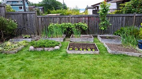 Top Raised Garden Bed Ideas and DIY Building Tips for a Thriving Garden