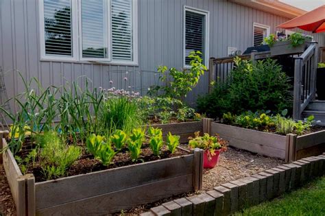 Top Raised Garden Bed Ideas and DIY Building Tips for a Thriving Garden