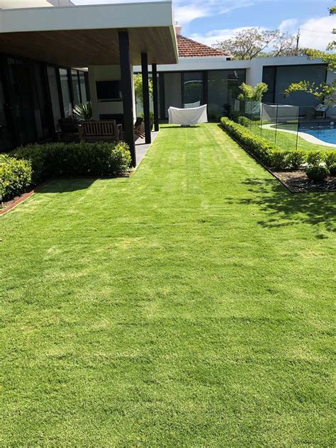 Top Tips for Maintaining a Healthy Lawn: Your Ultimate Guide