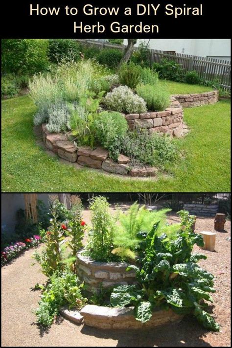 Top 10 Creative Herb Spiral Designs for Your Home Garden