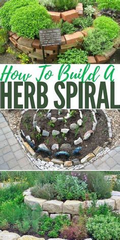 Top 10 Creative Herb Spiral Designs for Your Home Garden