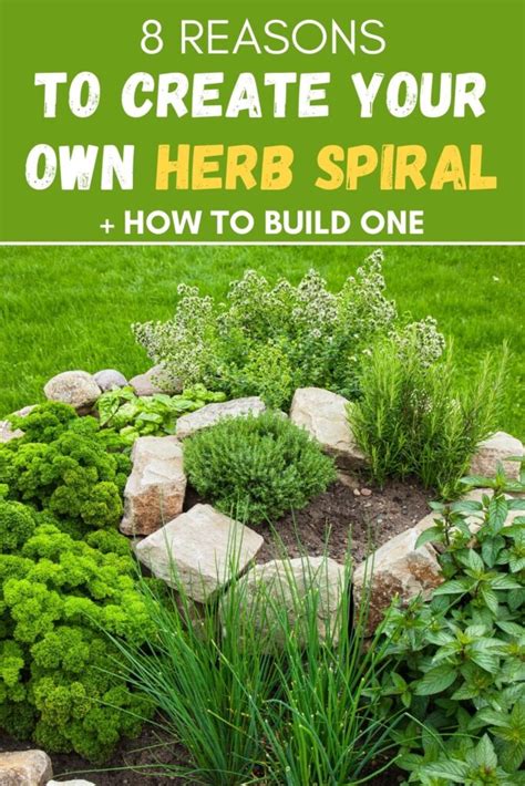 Top 10 Creative Herb Spiral Designs for Your Home Garden