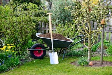 Top Organic Lawn Care Tips for a Lush, Green Yard