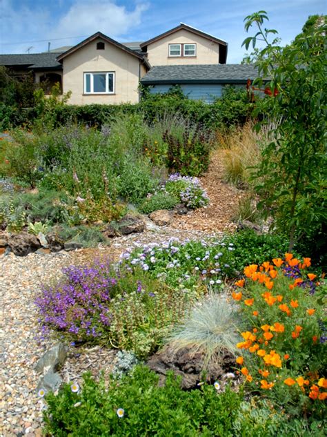 How to Design a Low-Maintenance Garden