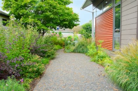 How to Design a Low-Maintenance Garden