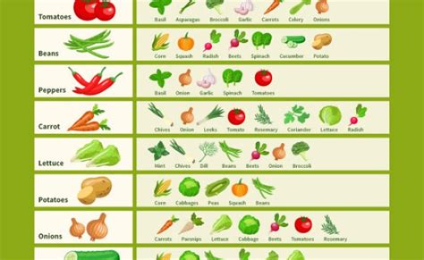 Companion Planting Guide