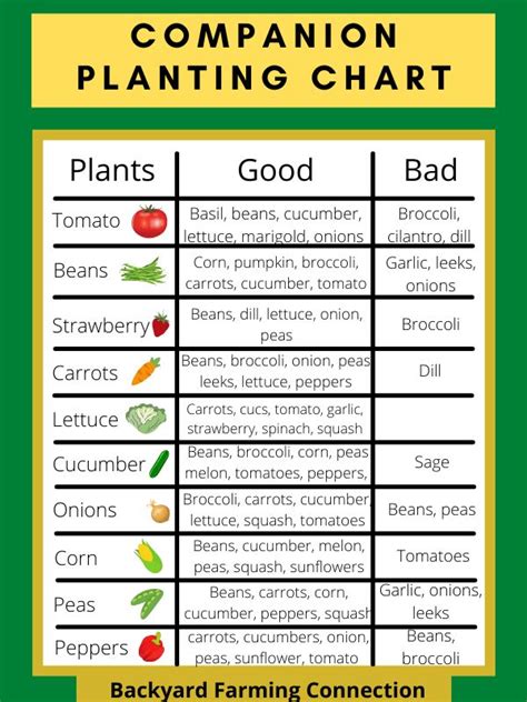 Companion Planting Guide