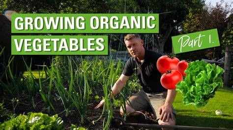 Tips for Growing Organic Produce