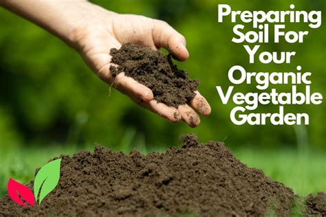 Tips for Growing Organic Produce