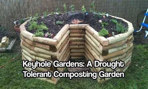 How to Build Raised Garden Beds