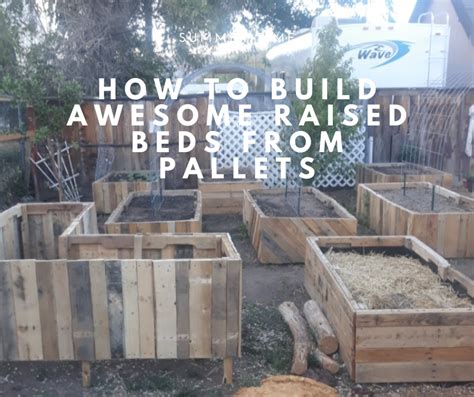 How to Build Raised Garden Beds